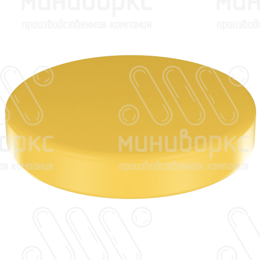 Заглушки фланцевых соединений ду 20 (3/4) – CAL3/4-346 | картинка 1